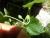 Img.VTax2608.Ex1.Img3