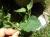 Img.VTax2608.Ex1.Img4