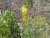 Img.VTax2620.Ex2.Img1