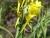 Img.VTax2620.Ex2.Img2