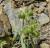 Img.VTax2624.Ex3.Img1