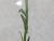 Img.VTax2625.Ex1.Img1