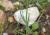 Img.VTax2625.Ex1.Img2