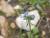 Img.VTax2625.Ex1.Img3