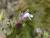 Img.VTax2636.Ex3.Img1