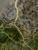 Img.VTax2636.Ex3.Img2