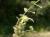 Img.VTax2638.Ex1.Img1