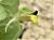 Img.VTax2638.Ex1.Img3