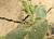 Img.VTax2638.Ex1.Img5