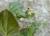 Img.VTax2638.Ex1.Img8