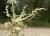 Img.VTax2638.Ex2.Img3