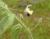 Img.VTax2640.Ex1.Img3