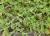 Img.VTax2640.Ex1.Img4