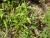 Img.VTax2645.Ex4.Img1