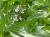 Img.VTax2651.Ex1.Img1