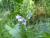 Img.VTax2651.Ex1.Img2