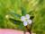 Img.VTax2652.Ex1.Img1