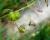 Img.VTax2652.Ex1.Img2
