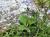 Img.VTax2654.Ex3.Img1