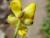 Img.VTax266.Ex2.Img3