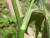 Img.VTax266.Ex2.Img4