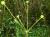 Img.VTax266.Ex3.Img3