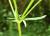 Img.VTax266.Ex3.Img4