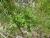 Img.VTax266.Ex4.Img1