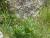 Img.VTax266.Ex4.Img3