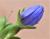 Img.VTax2665.Ex2.Img1