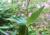 Img.VTax2670.Ex2.Img1