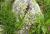 Img.VTax2670.Ex2.Img2