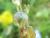 Img.VTax2670.Ex2.Img4