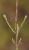 Img.VTax2705.Ex1.Img2