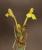 Img.VTax2705.Ex1.Img3