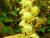 Img.VTax2731.Ex1.Img1