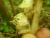 Img.VTax2731.Ex1.Img2
