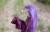 Img.VTax2732.Ex1.Img3