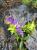 Img.VTax2763.Ex2.Img1