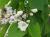 Img.VTax2774.Ex2.Img1