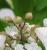 Img.VTax2774.Ex2.Img3