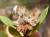 Img.VTax2775.Ex2.Img1