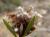 Img.VTax2775.Ex2.Img3