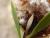 Img.VTax2775.Ex2.Img4