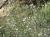 Img.VTax2775.Ex2.Img5