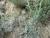 Img.VTax2775.Ex2.Img6