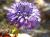 Img.VTax2775.Ex2.Img8
