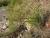 Img.VTax2775.Ex3.Img1