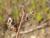 Img.VTax2775.Ex3.Img3