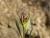 Img.VTax2775.Ex3.Img4